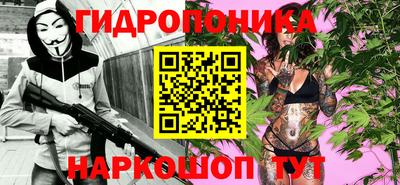 спиды Надым