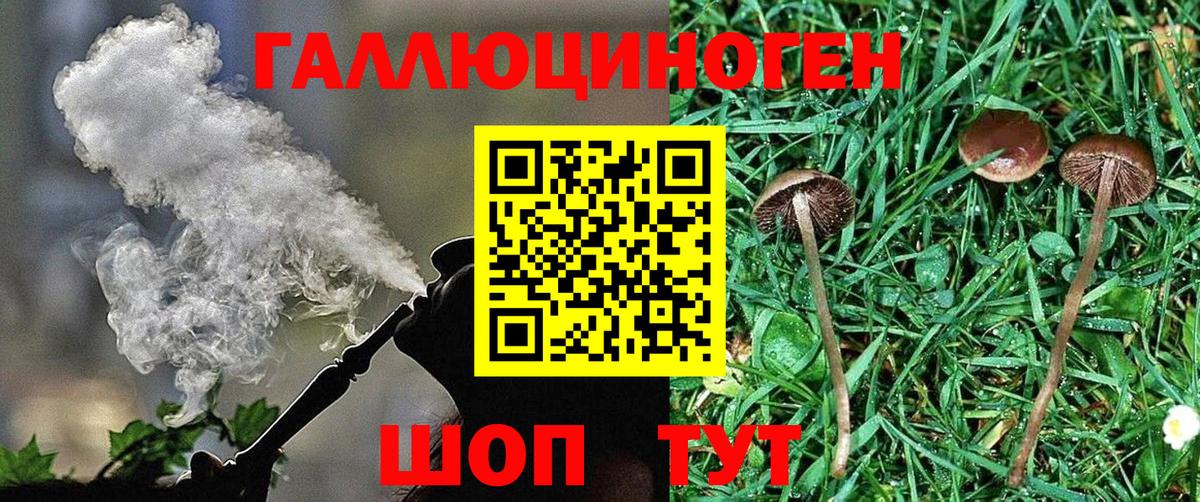 Владивосток  Псилоцибиновые грибы GOLDEN TEACHER  что такое наркотик  Вход с VPN 