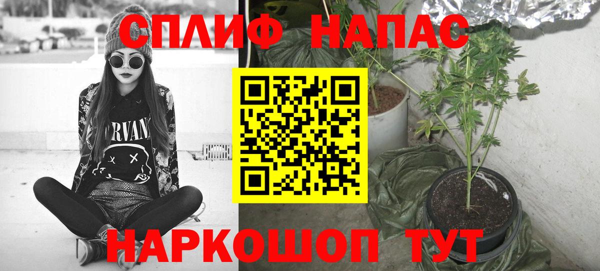 Бошки марихуана THC 21% Владивосток